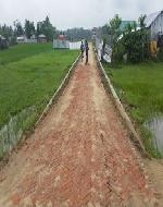 20161018_162449 (2448) (Custom)